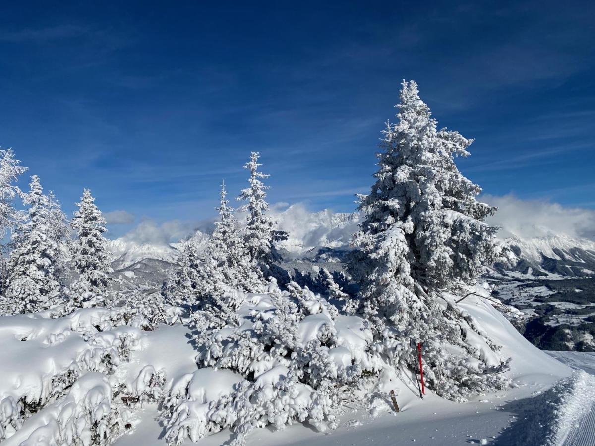 Chalet Reiteralm- Ski Inski Out シュラートミンク エクステリア 写真